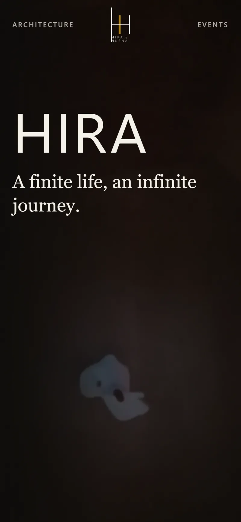 HIRA mobile experience